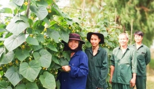 CP Foods Promotes Employees Happiness through Sufficient Farm